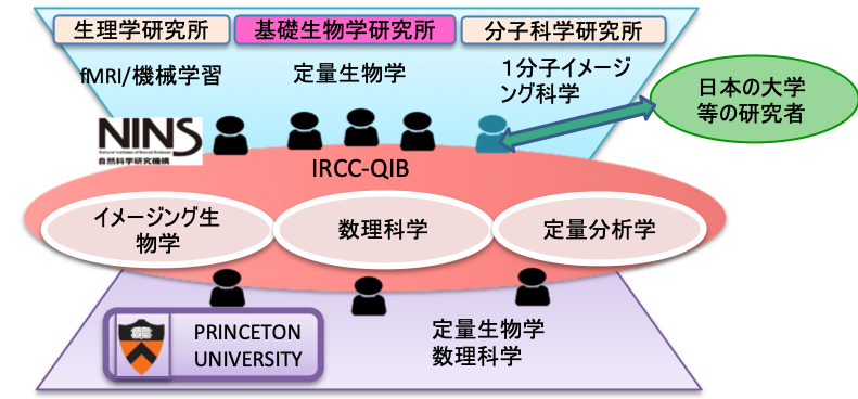 IRCCQIBfigure.png