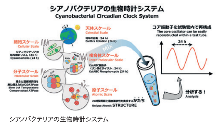 スクリーンショット 2023-03-24 15.35.24.png