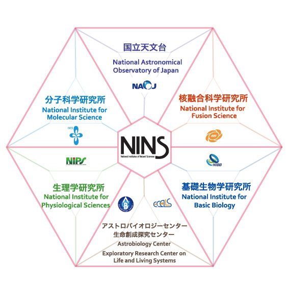 NINSH用説明画像.jpg