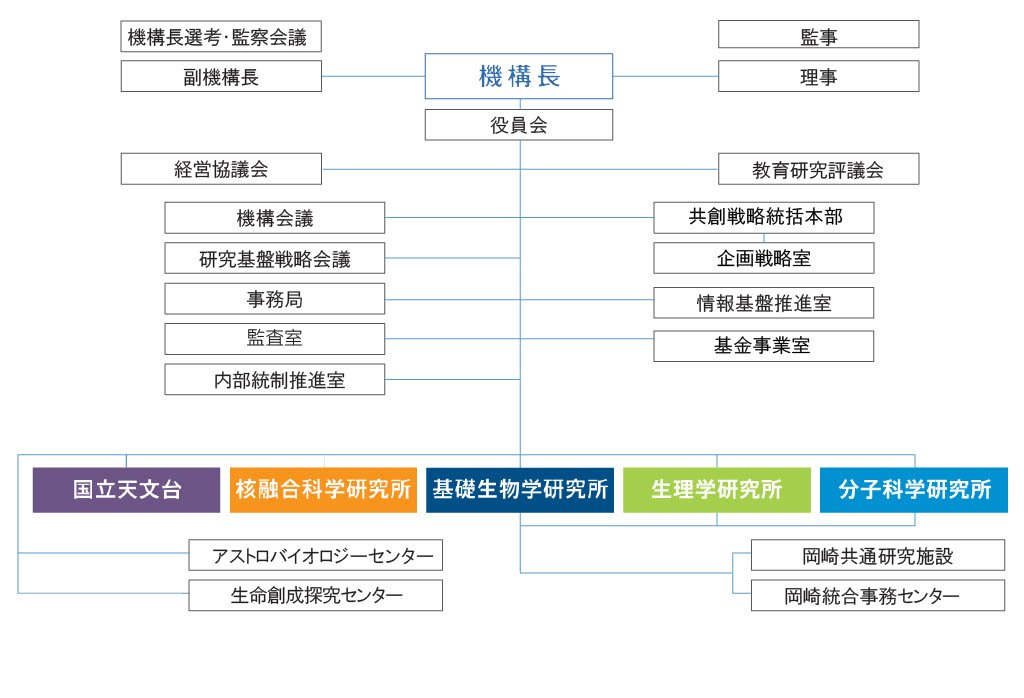 MicrosoftTeams-image (1).jpg