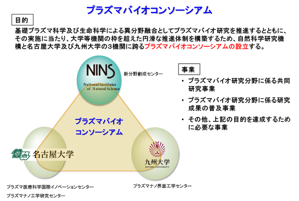 プラズマバイオコンソーシアム図の写真