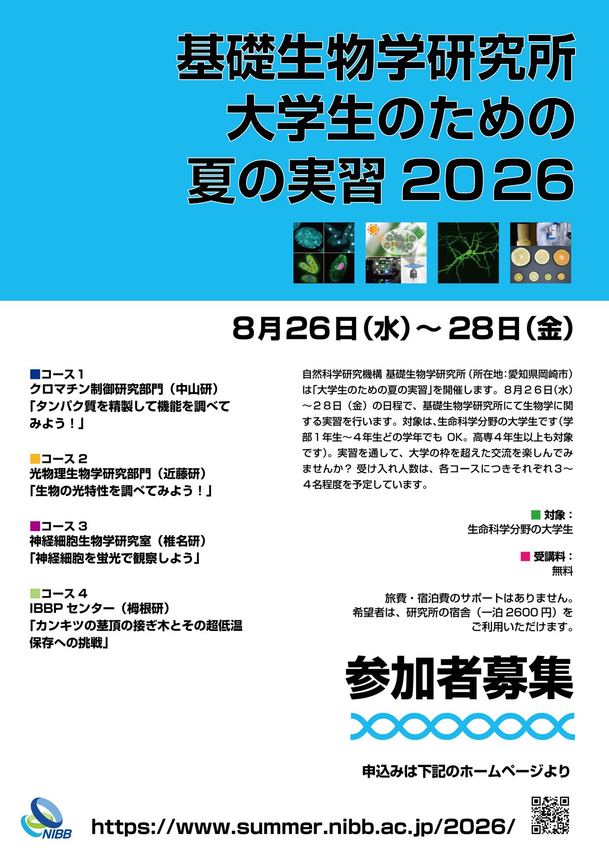 「基礎生物学研究所 大学生のための夏の実習２０２６」参加者募集
