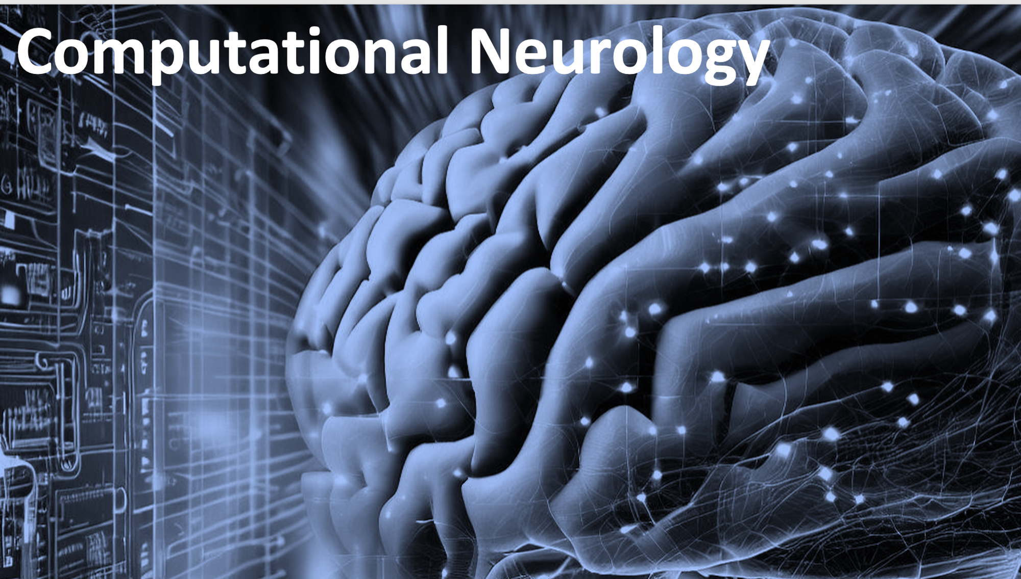 Computational Neurology研究会