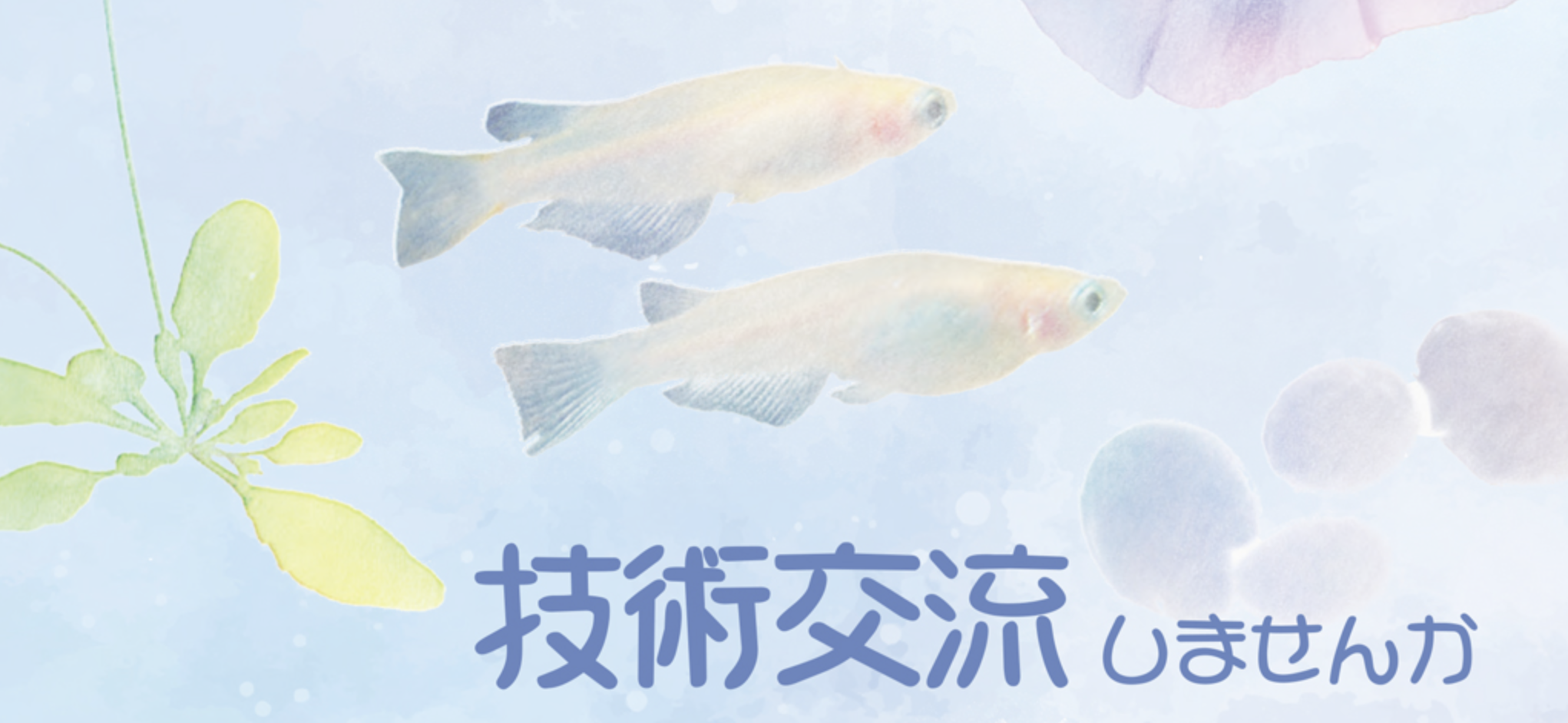 第37回生物学技術研究会