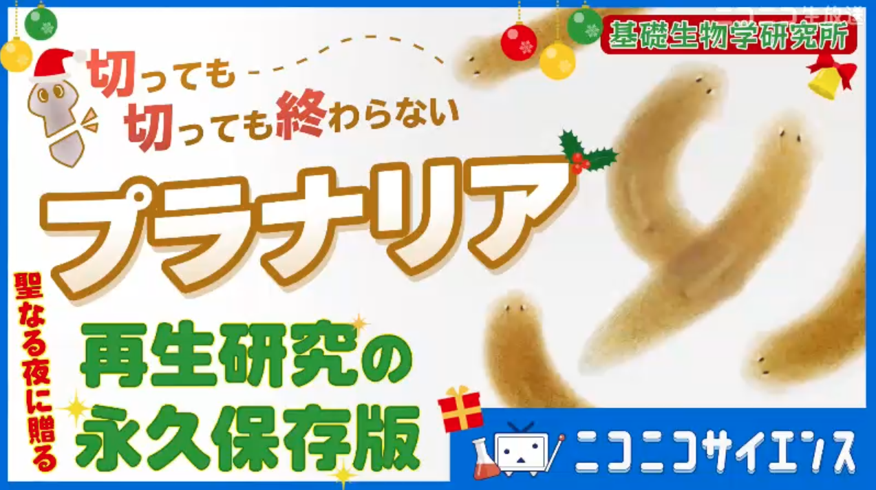 阿形所長、最後のニコニコ生放送を行います