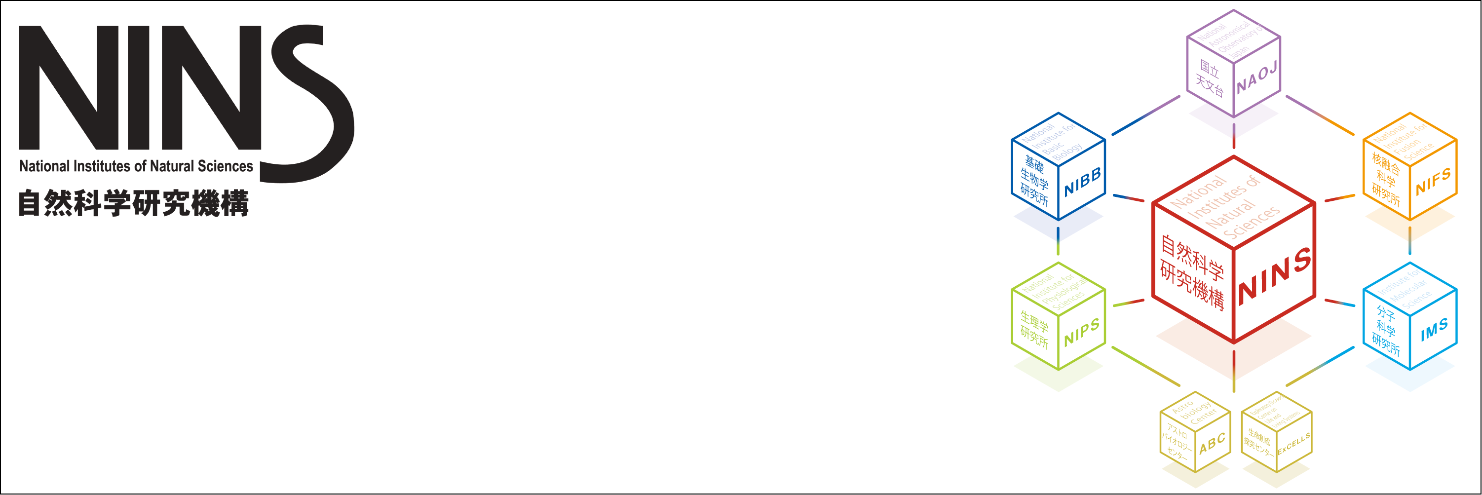 NINS_X_banner.png