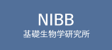 btn_news_nibb.png