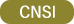 icon_news_cnsi.png