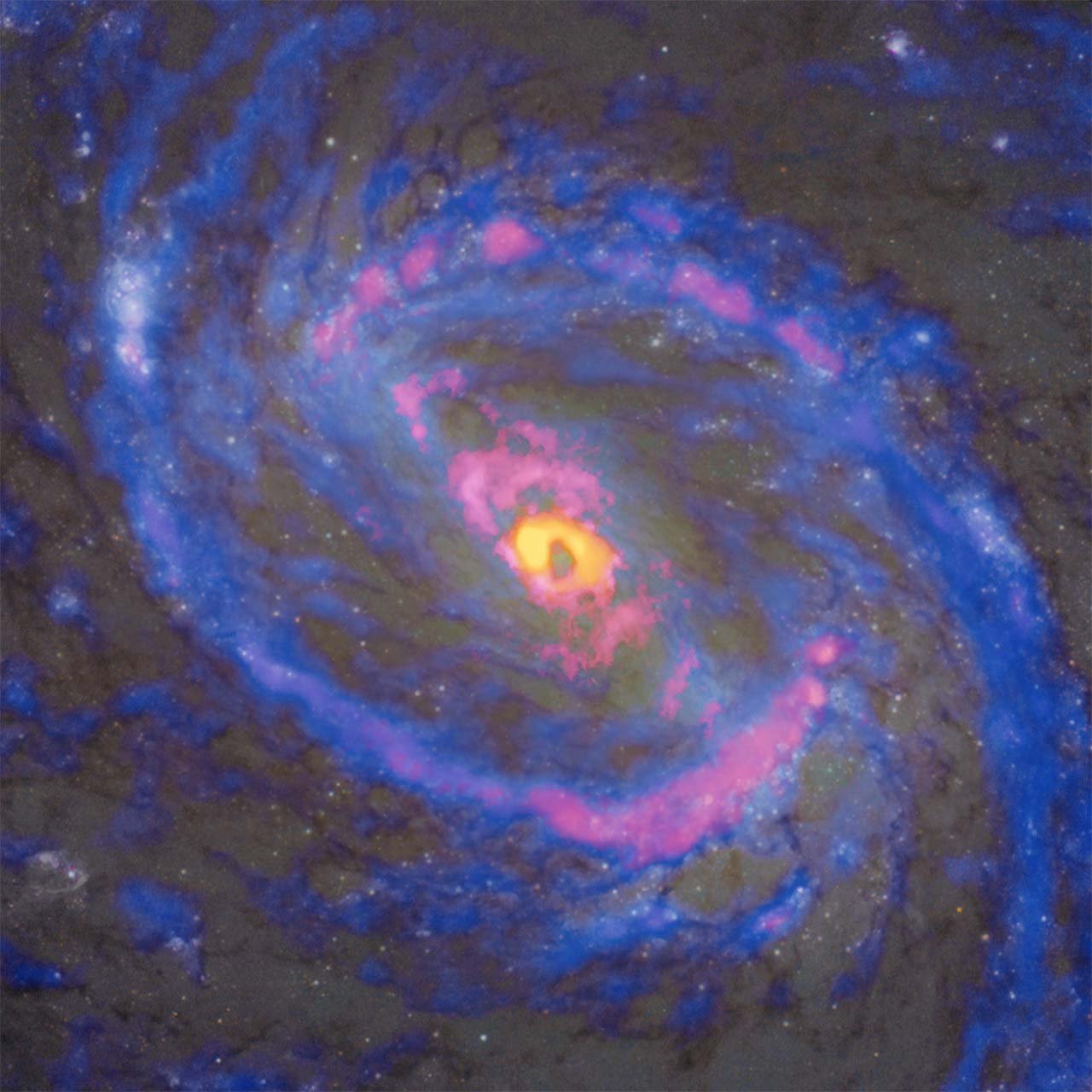 超巨大ブラックホールが新たな星の誕生を抑制する