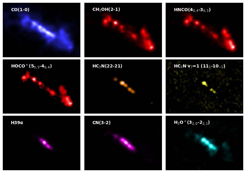 ALMA Finds New Molecular Signposts in Starburst Galaxy