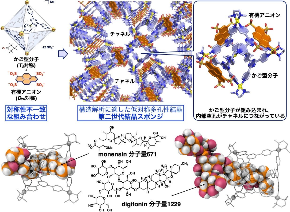 第二世代結晶スポンジ法 ――中分子創薬化合物を標的に「簡便・汎用」な構造解析を実現―― (藤田誠グループ)