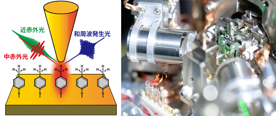 Detecting Vibrational Sum-Frequency Generation Signals from Molecules Confined within a Nanoscale Gap using a Tightly Confined Optical Near-Field