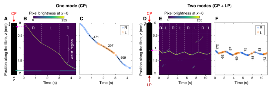 エバネッセント円偏光によりキラルなナノ粒子の選択的輸送に成功 ～キラル分子の非接触光学分離技術の確立に向けた重要な一歩～ （岡本裕巳名誉教授ら）