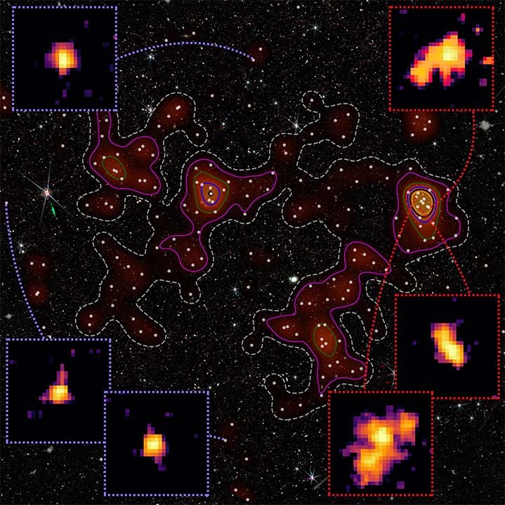 Local Environment Shapes Galaxy Growth in Early Universe