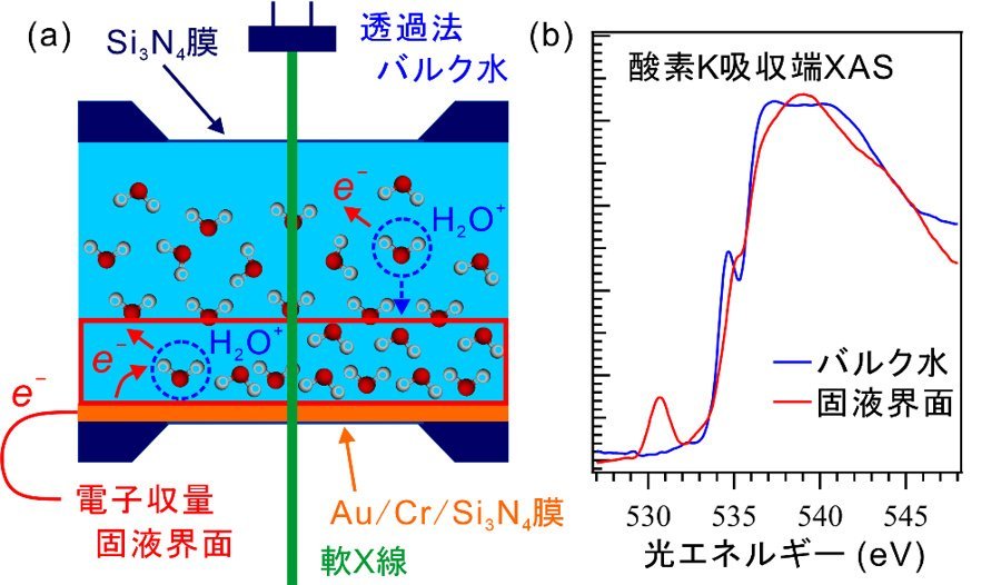 軟X線吸収分光法による固液界面とバルク液体の同時測定を実現 －触媒反応の詳細なメカニズム解明に道筋－ （長坂将成助教ら）