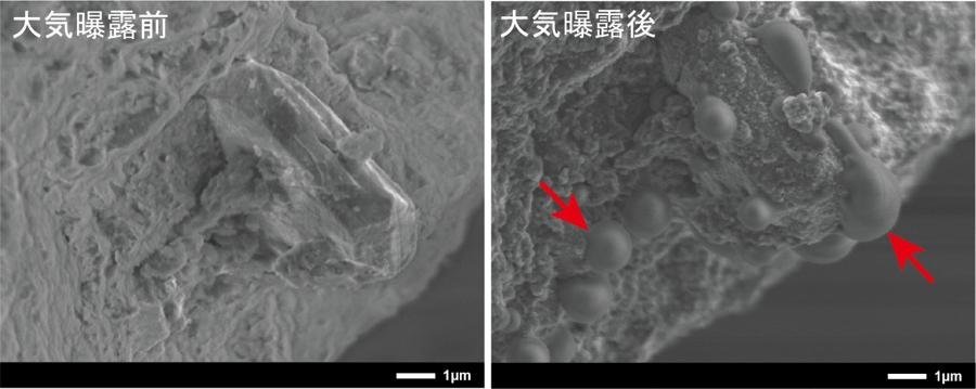 リュウグウ粒子は地球帰還後わずか数週間で顕著な変質が生じる ―宇宙から持ち帰った試料が地球環境で急速に変化することを解明― （荒木暢主任研究員ら）