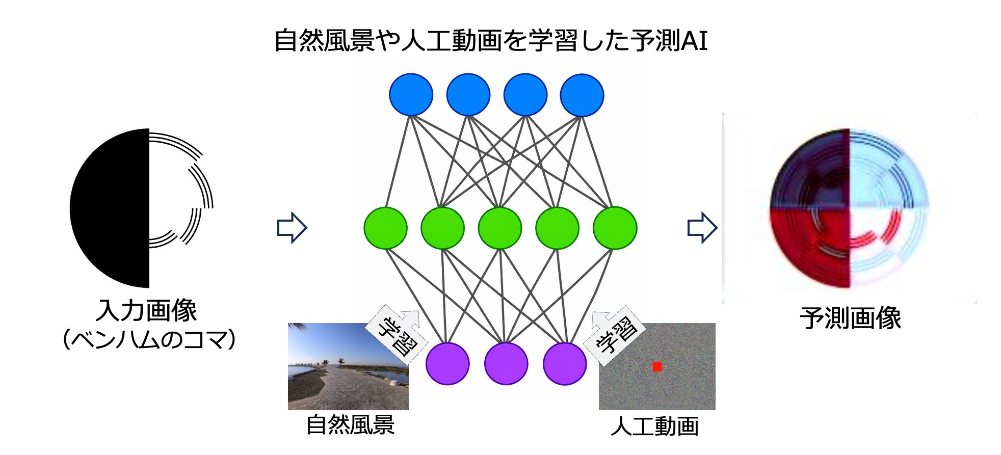 白黒のコマになぜ色が見えるのか ―200年の謎に、予測するAIが新たな手がかり―