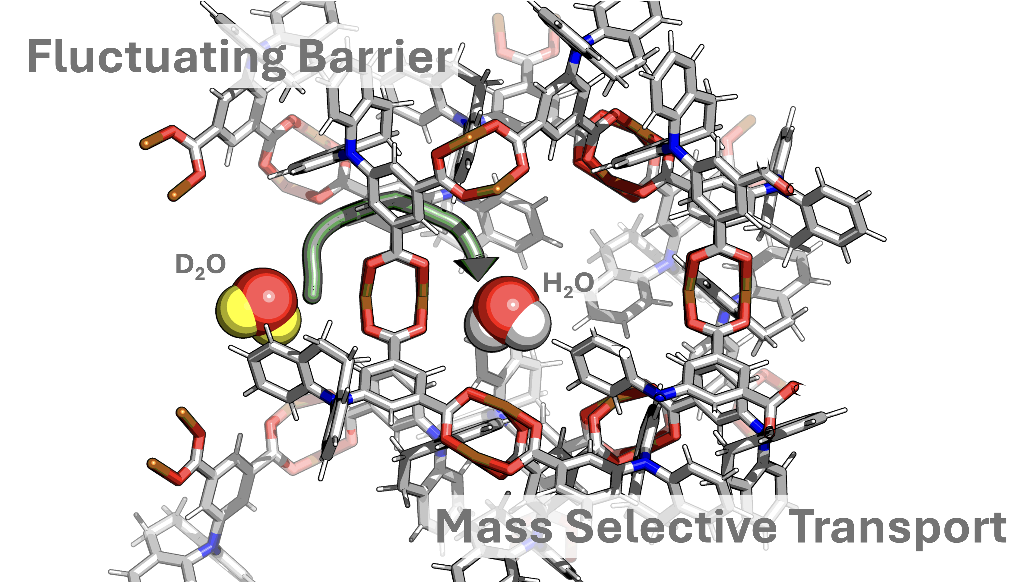 Dynamic ‘breathing’ in nanopore structures can maximize efficiency of molecule separation and diffusion Researchers find that fluctuations in nanopore structure are the key factor influencing their performance