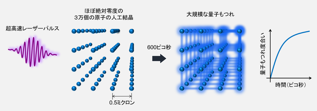 Ultrafast quantum simulation of large-scale quantum entanglement — Applying ultrafast quantum computer scheme to a quantum simulator