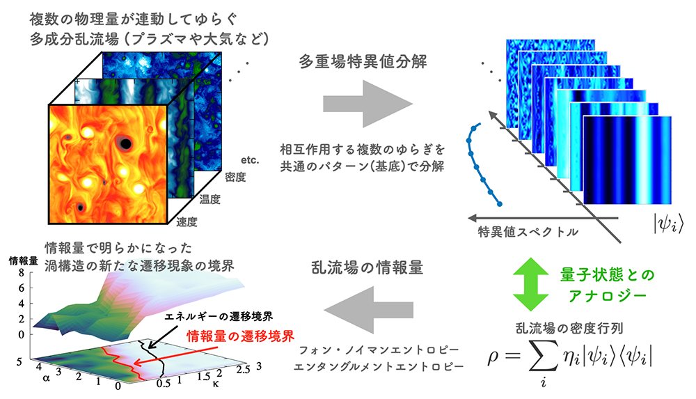 もつれ合うプラズマの渦と流れを『情報』で読み解く - 量子情報理論にヒントを得た乱流構造の解析手法 -