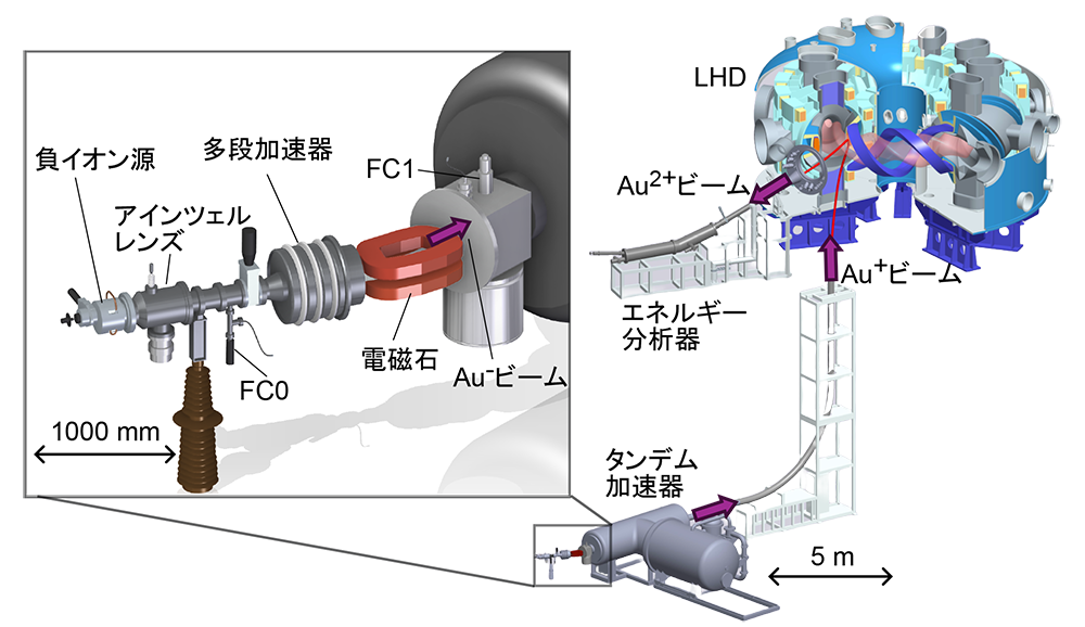 High-precision measurement of potential dynamics inside plasma Achieved with a high-efficiency accelerator and non-contact diagnostics