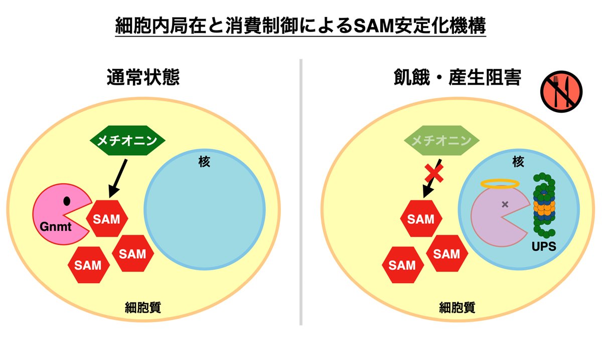 大事な物質を維持するための