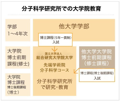 2024年度分子科学コース入学者選抜募集要項を公開しました